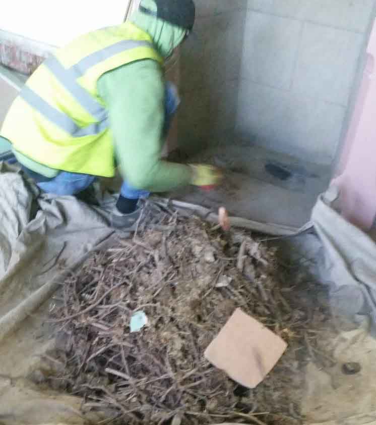 Removing birds nest from a chimney in London